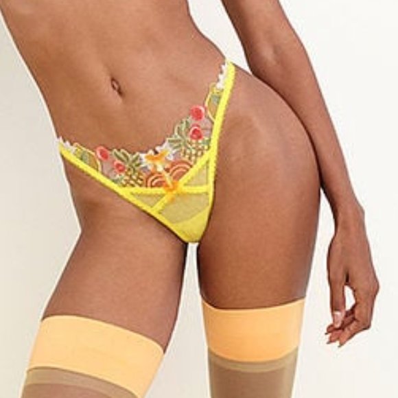 VS 2 Piece Set For Love & Lemons Thong & Garter Belt Multi Fruit Yellow NWT - Picture 13 of 16